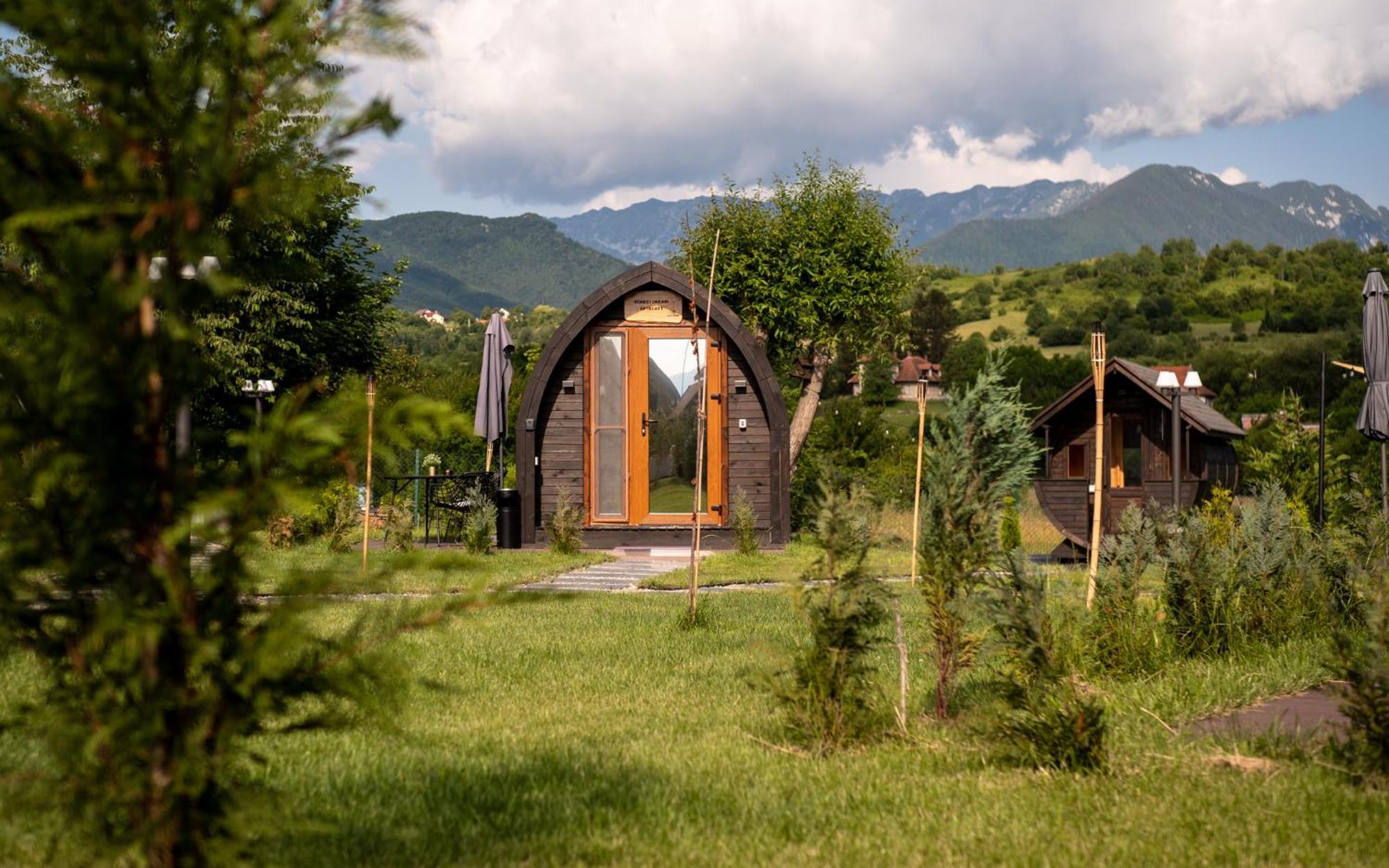 Glamp In Style Pods Resort 布朗 外观 照片