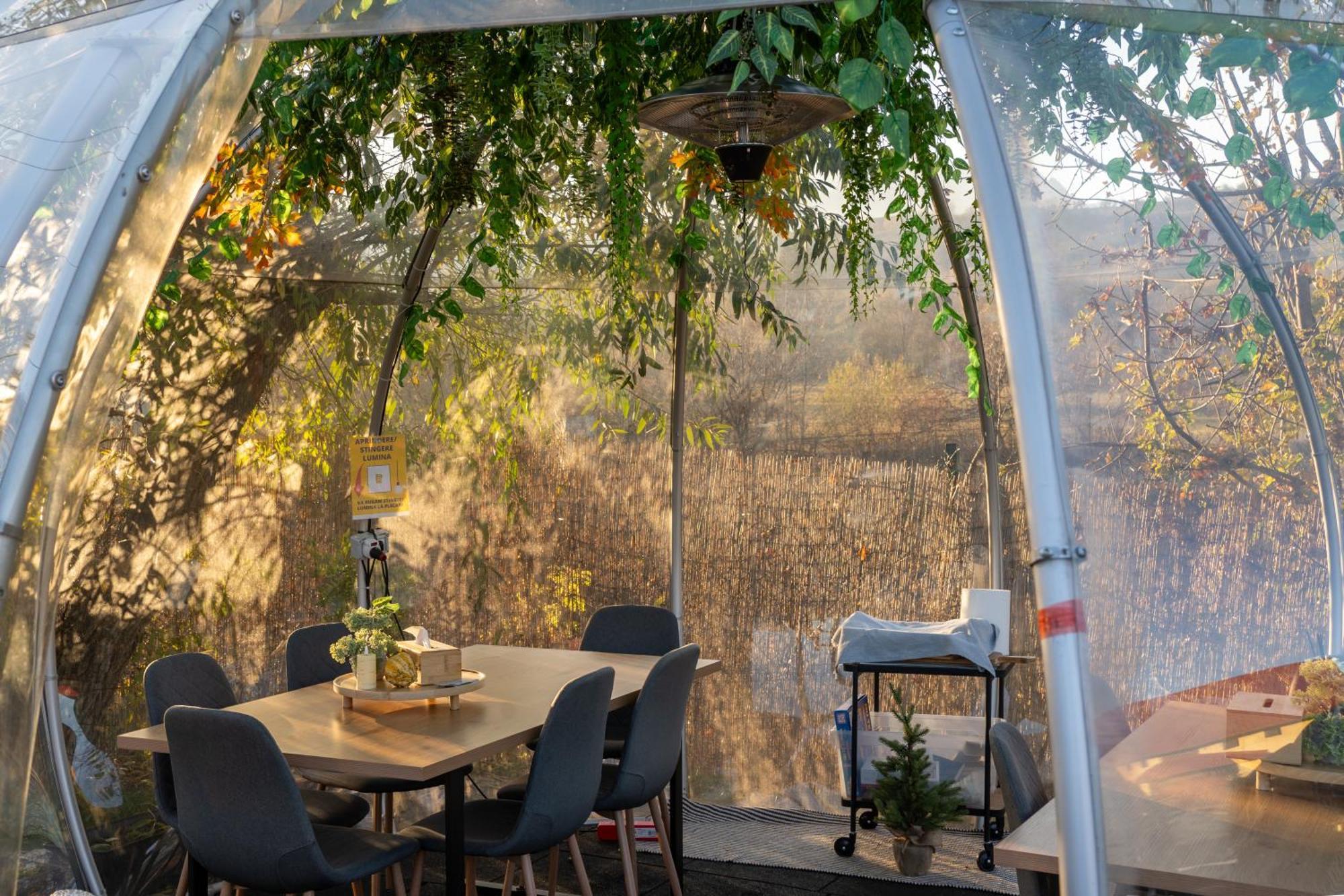 Glamp In Style Pods Resort 布朗 外观 照片