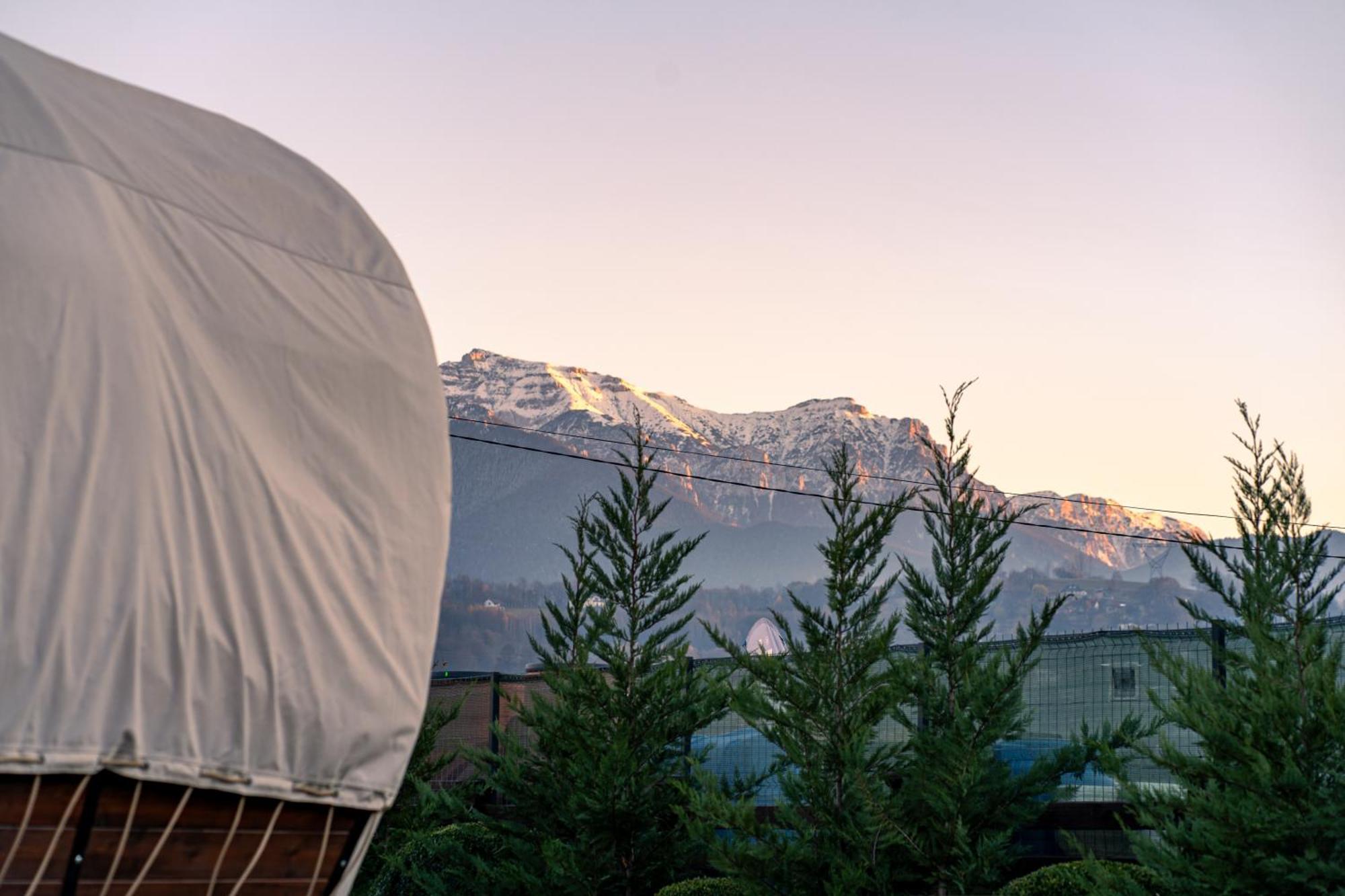 Glamp In Style Pods Resort 布朗 外观 照片