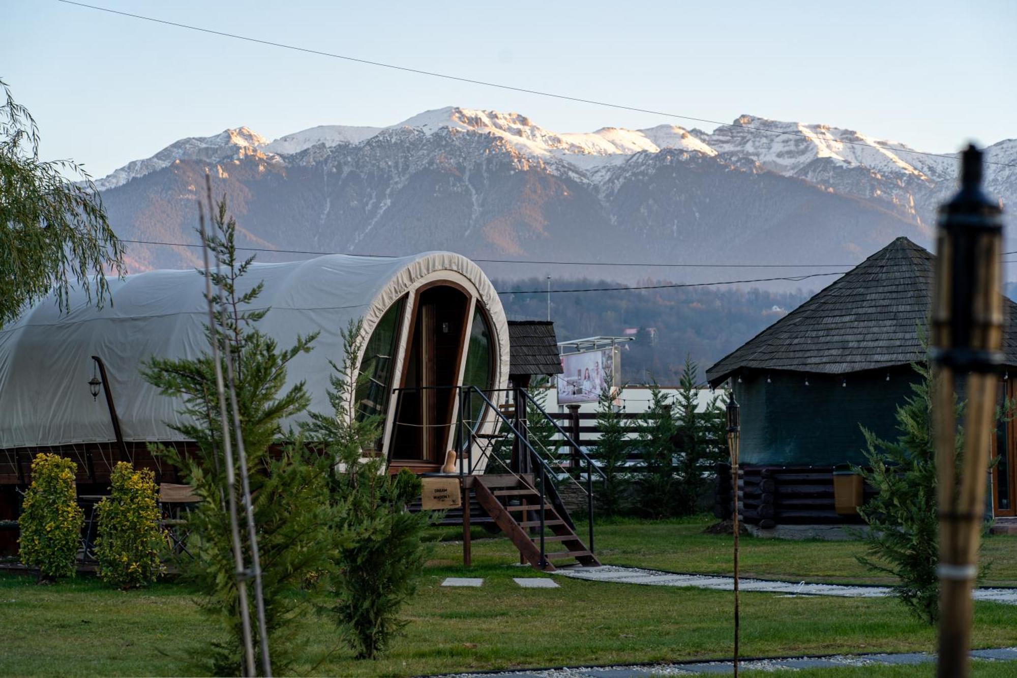 Glamp In Style Pods Resort 布朗 外观 照片